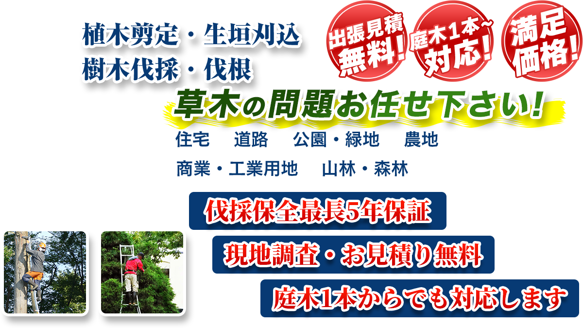九十九里町エリア即対応!! 出張無料! 庭木1本~対応! 満足価格! 植木剪定・生垣刈込 樹木伐採・伐根 草木の問題お任せ下さい! 住宅 道路 公園・緑地 農地 商業・工業用他 山林・森林 伐採保全最長5年保証 現地調査・お見積り無料 庭木1本からでも対応します